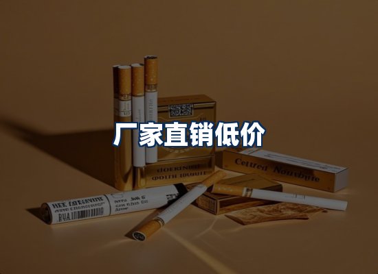 专业团队办公环境